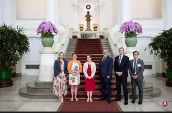 新西兰议员被制裁！窜台作恶必有报，勿以国小而为之
