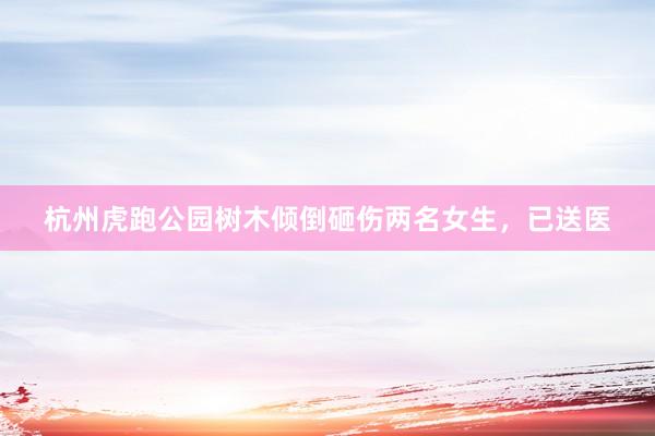 杭州虎跑公园树木倾倒砸伤两名女生,已送医