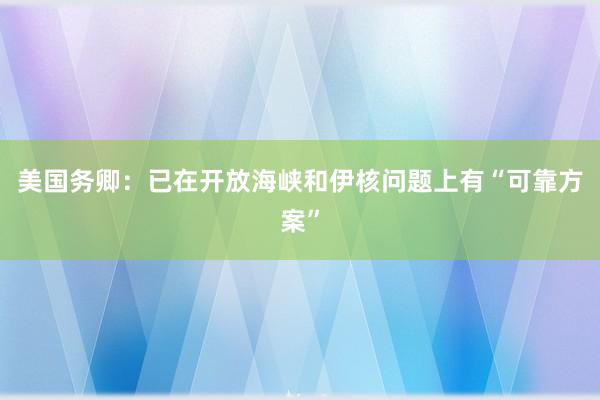 美国务卿：已在开放海峡和伊核问题上有“可靠方案”