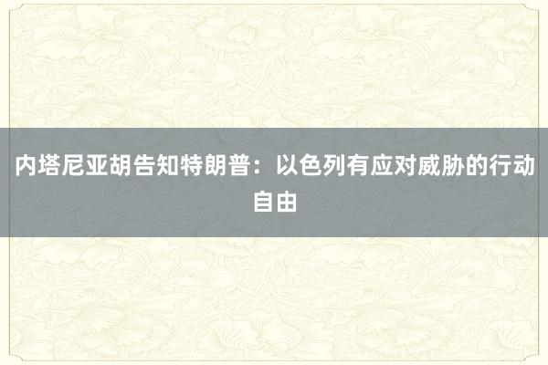 内塔尼亚胡告知特朗普：以色列有应对威胁的行动自由
