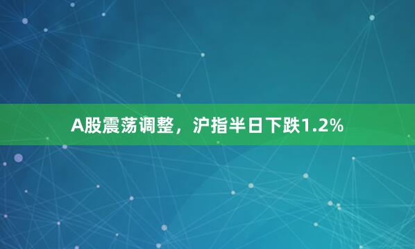 A股震荡调整，沪指半日下跌1.2%