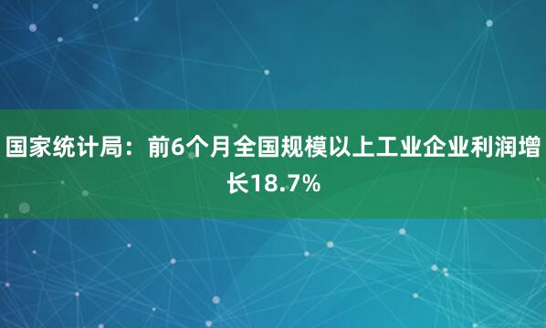 国家统计局：前6个月全国规模以上工业企业利润增长18.7%