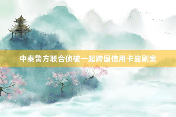 中泰警方联合侦破一起跨国信用卡盗刷案