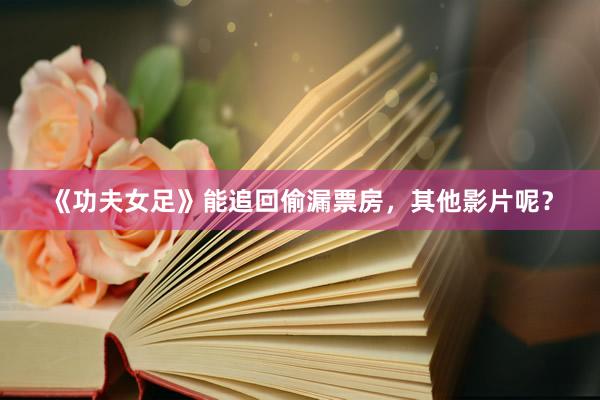 《功夫女足》能追回偷漏票房，其他影片呢？