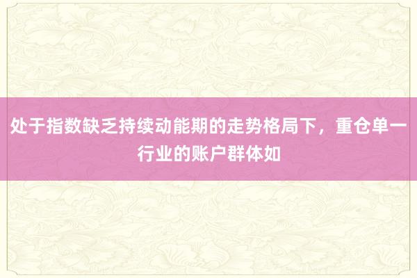 处于指数缺乏持续动能期的走势格局下，重仓单一行业的账户群体如