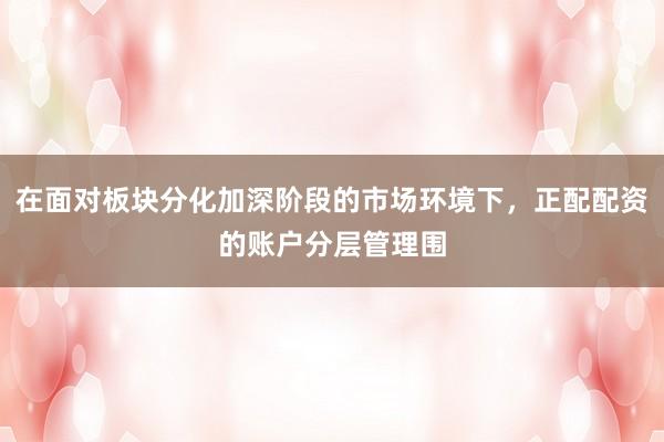 在面对板块分化加深阶段的市场环境下，正配配资的账户分层管理围