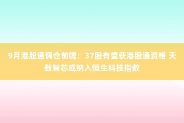 9月港股通调仓前瞻：37股有望获港股通资格 天数智芯或纳入恒生科技指数